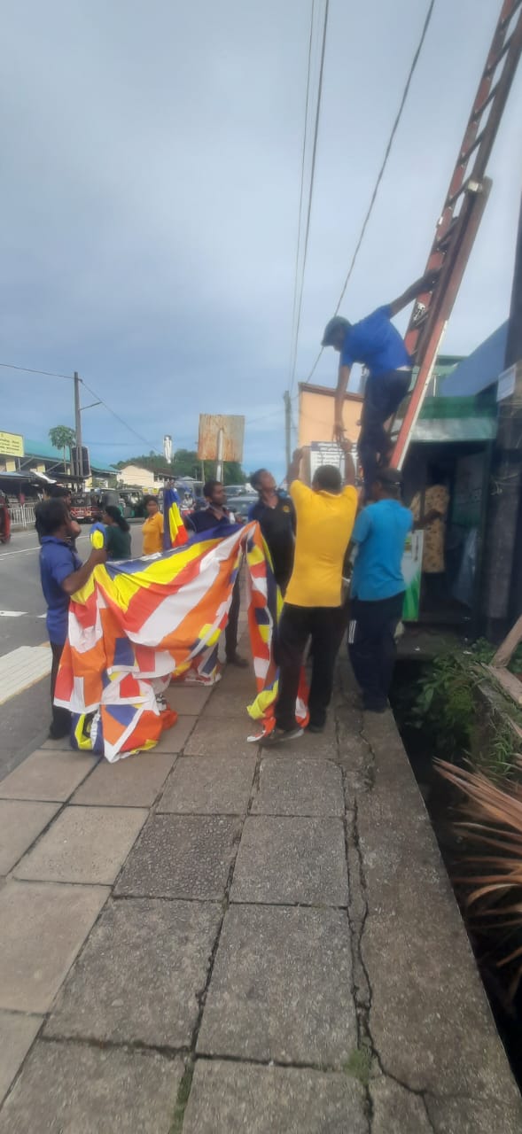 Five cats looking around a field.