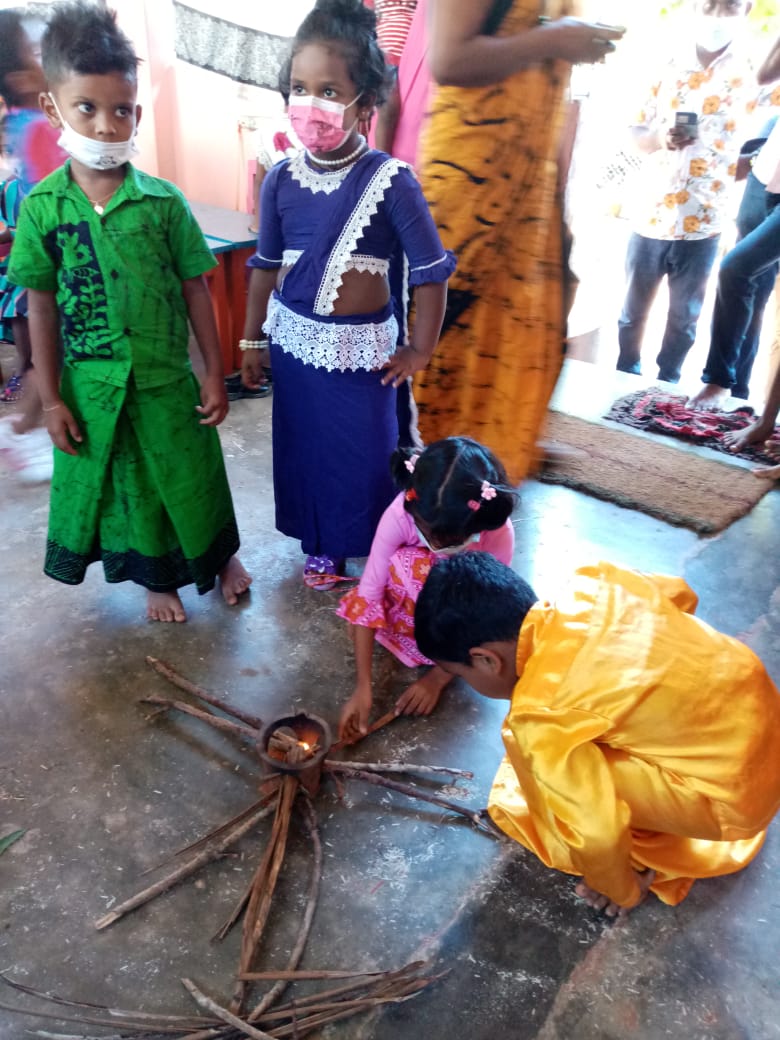 Five cats looking around a field.