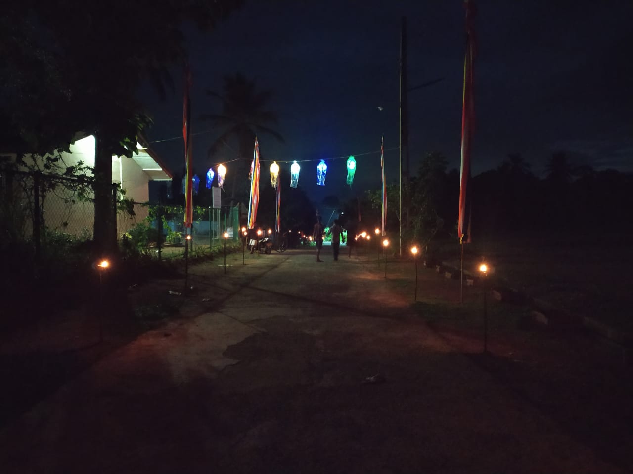 Five cats looking around a field.