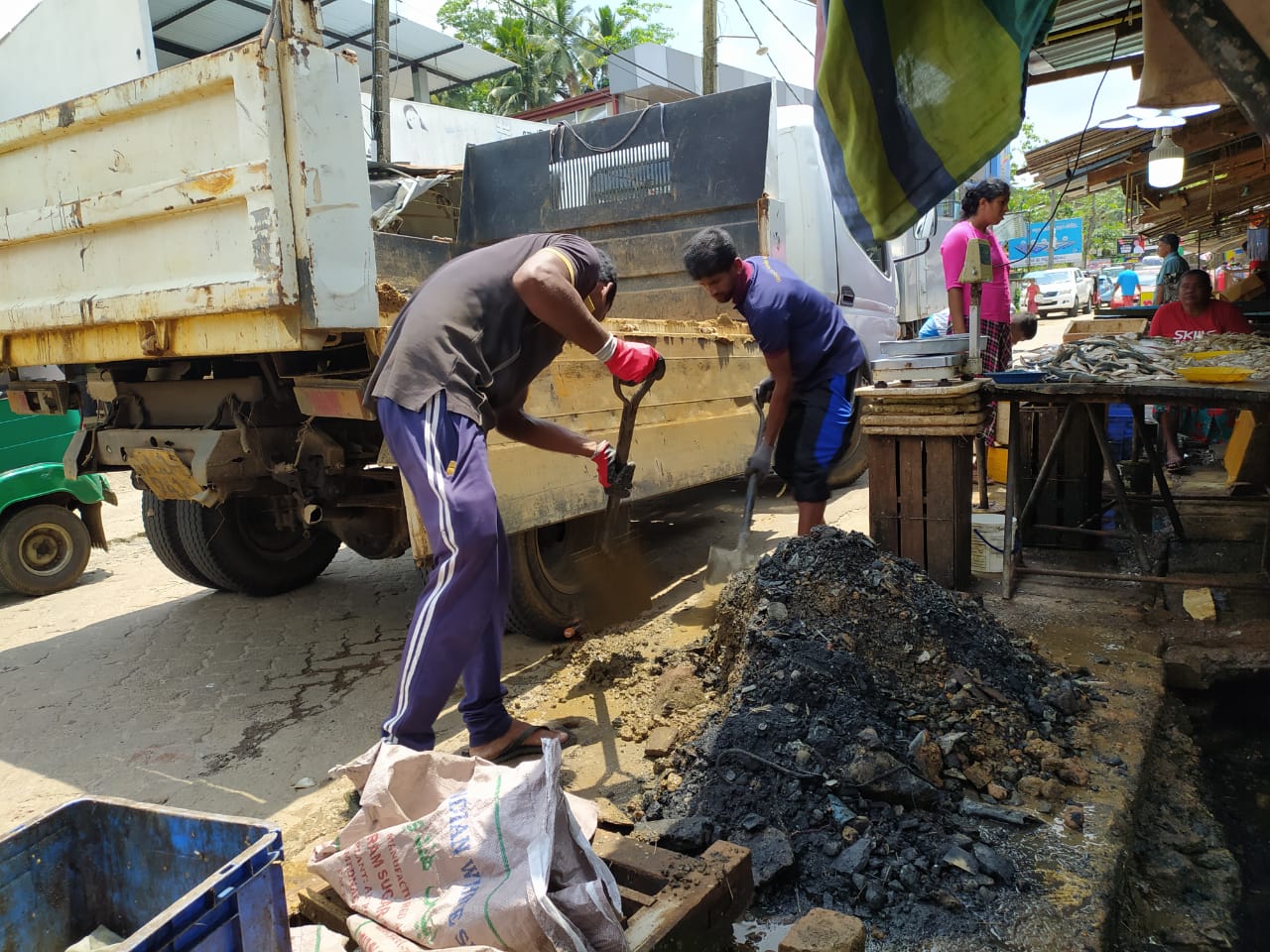 Five cats looking around a field.