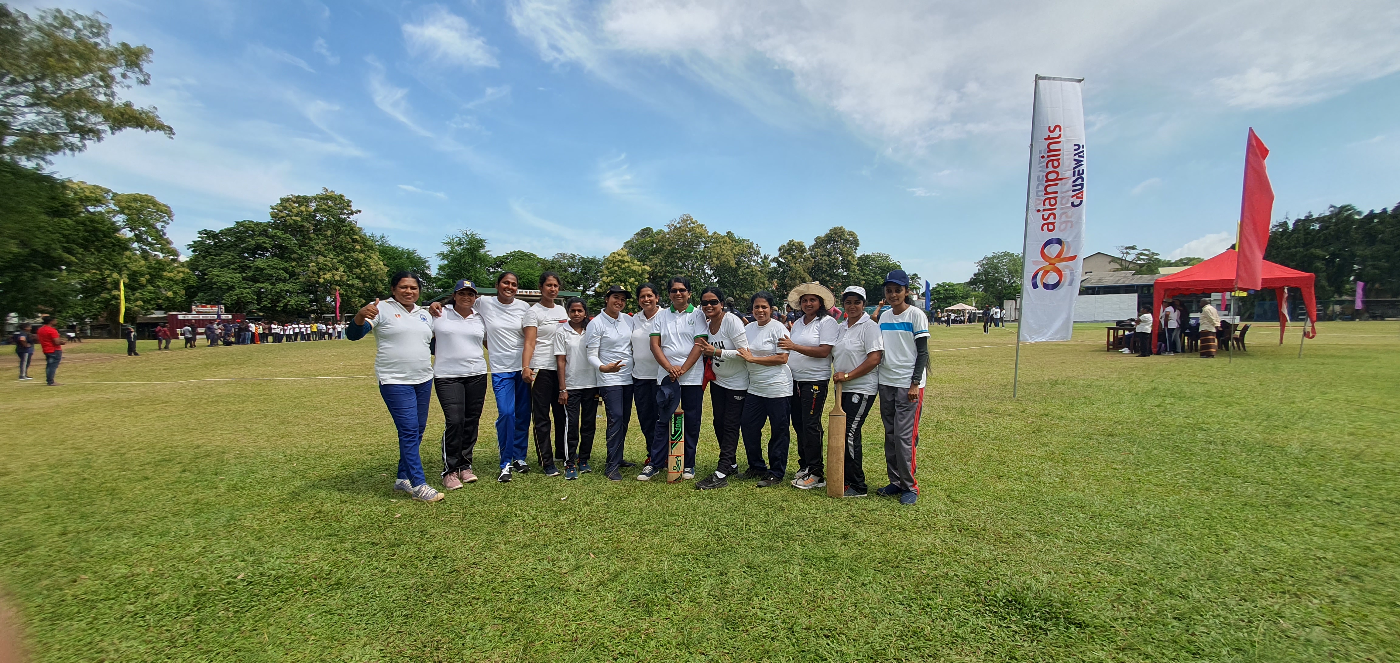 Five cats looking around a field.