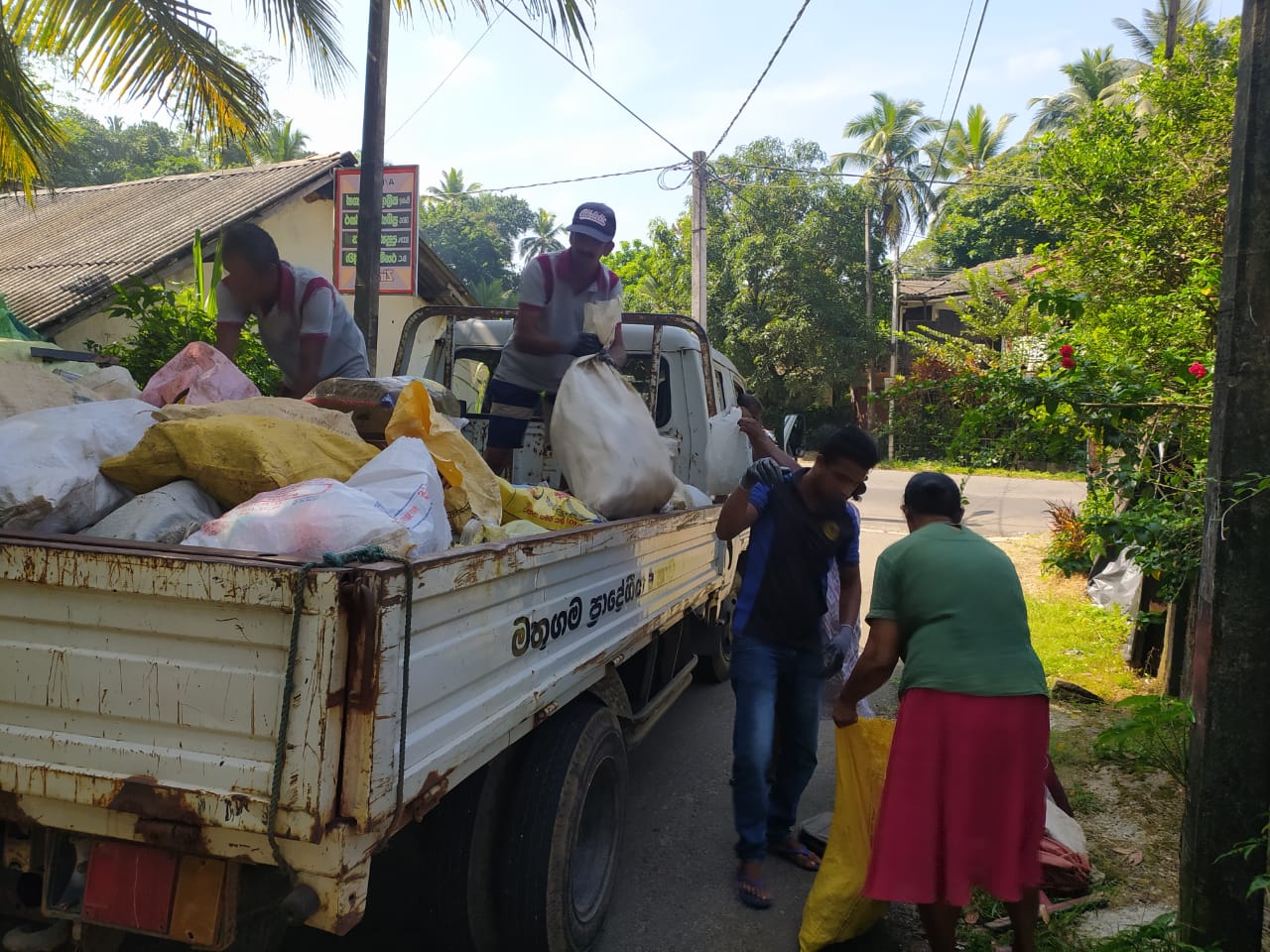 Five cats looking around a field.