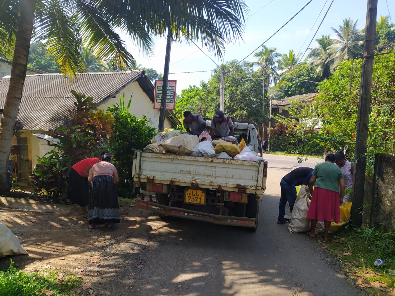 Five cats looking around a field.