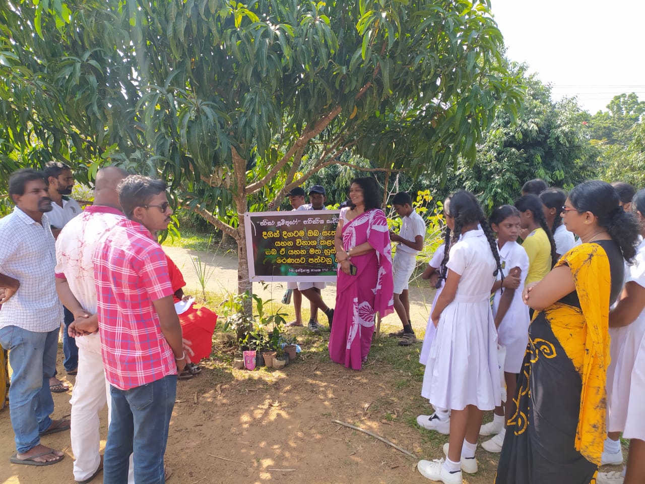 Five cats looking around a field.